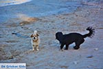 Loutraki bij Marathi Kreta - Departement Chania - Foto 5 - Foto van De Griekse Gids