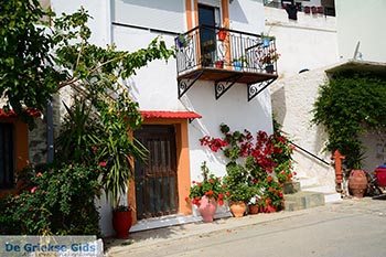 Melambes Kreta - Departement Rethymnon - Foto 7 - Foto van https://www.grieksegids.nl/fotos/kreta/melambes/normaal/melambes-kreta-007.jpg