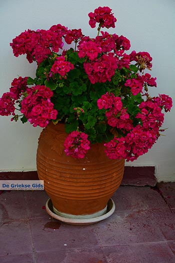 Melambes Kreta - Departement Rethymnon - Foto 12 - Foto van https://www.grieksegids.nl/fotos/kreta/melambes/normaal/melambes-kreta-012.jpg