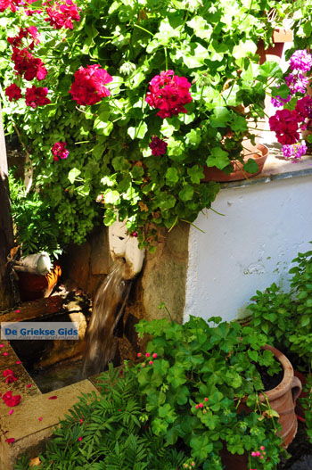 Spili | Rethymnon Kreta | Foto 7 - Foto van https://www.grieksegids.nl/fotos/kreta/normaal/kreta-grieksegids-0023.jpg