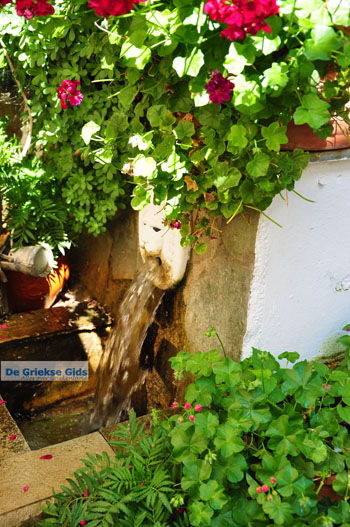 Spili | Rethymnon Kreta | Foto 8 - Foto van https://www.grieksegids.nl/fotos/kreta/normaal/kreta-grieksegids-0024.jpg