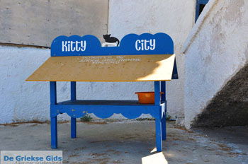 Panormos Kreta | Rethymnon Kreta | Foto 4 - Foto van https://www.grieksegids.nl/fotos/kreta/normaal/kreta-grieksegids-0149.jpg