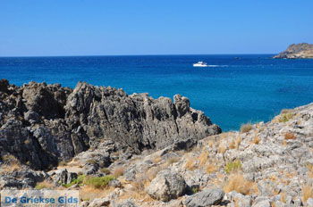 Damnoni | Rethymnon Kreta | Foto 20 - Foto van https://www.grieksegids.nl/fotos/kreta/normaal/kreta-grieksegids-0322.jpg