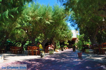 Damnoni | Rethymnon Kreta | Foto 39 - Foto van https://www.grieksegids.nl/fotos/kreta/normaal/kreta-grieksegids-0341.jpg