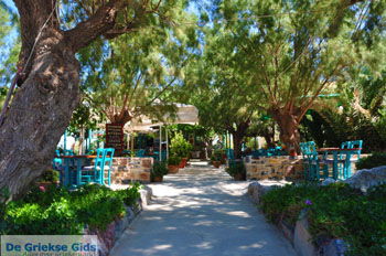 Damnoni | Rethymnon Kreta | Foto 40 - Foto van https://www.grieksegids.nl/fotos/kreta/normaal/kreta-grieksegids-0342.jpg