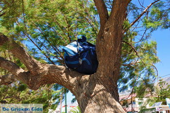 Plakias | Rethymnon Kreta | Foto 9 - Foto van https://www.grieksegids.nl/fotos/kreta/normaal/kreta-grieksegids-0352.jpg