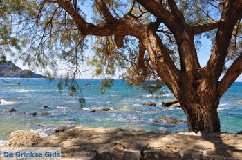 Plakias | Rethymnon Kreta | Foto 23 - Foto van https://www.grieksegids.nl/fotos/kreta/normaal/kreta-grieksegids-0366.jpg