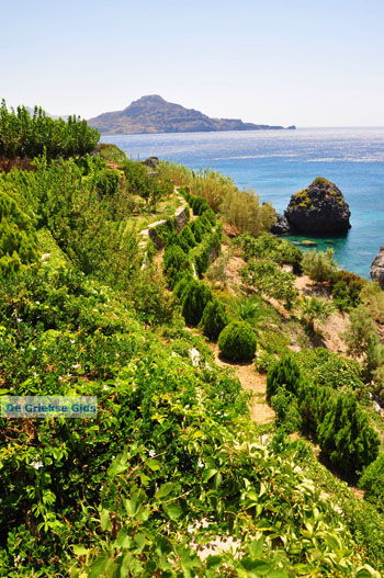 Souda bij Plakias Zuid Kreta | Rethymnon Kreta | foto 5 - Foto van https://www.grieksegids.nl/fotos/kreta/normaal/kreta-grieksegids-0387.jpg