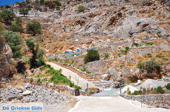 Ano en Kato Rodakino |Rethymnon Kreta | Foto 14 - Foto van https://www.grieksegids.nl/fotos/kreta/normaal/kreta-grieksegids-0441.jpg