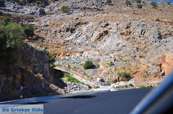 Ano en Kato Rodakino |Rethymnon Kreta | Foto 17 - Foto van https://www.grieksegids.nl/fotos/kreta/normaal/kreta-grieksegids-0600.jpg