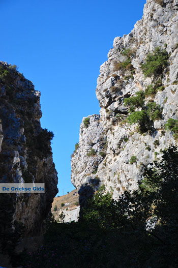 Kotsifos Kloof | Rethymnon Kreta | Foto 21 - Foto van https://www.grieksegids.nl/fotos/kreta/normaal/kreta-grieksegids-0639.jpg