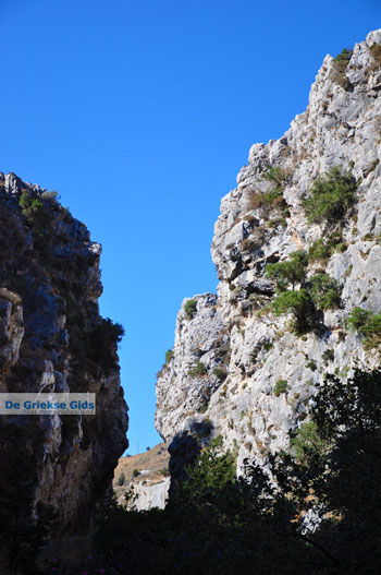 Kotsifos Kloof | Rethymnon Kreta | Foto 23 - Foto van https://www.grieksegids.nl/fotos/kreta/normaal/kreta-grieksegids-0641.jpg