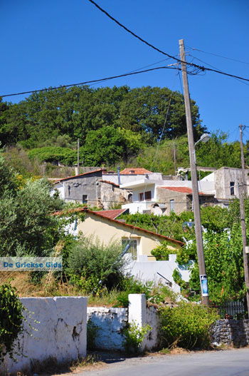 Agios Ioannis | Rethymnon Kreta | Foto 6 - Foto van https://www.grieksegids.nl/fotos/kreta/normaal/kreta-grieksegids-0651.jpg