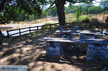 Nabij Arkadi | Rethymnon Kreta Griekenland 2 - Foto van https://www.grieksegids.nl/fotos/kreta/normaal/kreta-grieksegids-0810.jpg