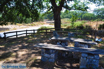 Nabij Arkadi | Rethymnon Kreta Griekenland 3 - Foto van https://www.grieksegids.nl/fotos/kreta/normaal/kreta-grieksegids-0811.jpg