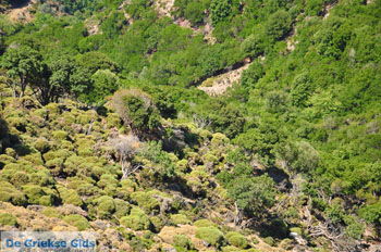 Natuur Centraal Rethymnon Kreta Griekenland 8 - Foto van https://www.grieksegids.nl/fotos/kreta/normaal/kreta-grieksegids-0820.jpg
