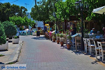 Oud-Chersonissos Kreta - Departement Heraklion - Foto 18 - Foto van https://www.grieksegids.nl/fotos/kreta/oud-chersonissos/normaal/oud-chersonissos-kreta-018.jpg