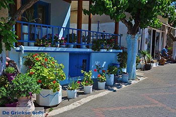Oud-Chersonissos Kreta - Departement Heraklion - Foto 25 - Foto van https://www.grieksegids.nl/fotos/kreta/oud-chersonissos/normaal/oud-chersonissos-kreta-025.jpg