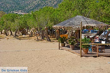 Paleochora Kreta - Departement Chania - Foto 19 - Foto GriechenlandWeb.de