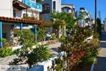 GriechenlandWeb Platanias Chania Kreta - Foto GriechenlandWeb.de