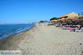 Platanias Kreta - Departement Chania - Foto 28 - Foto van https://www.grieksegids.nl/fotos/kreta/platanias/normaal/platanias-kreta-028.jpg