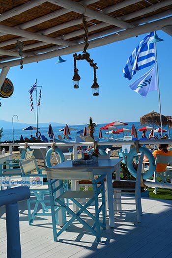 Platanias Kreta - Departement Chania - Foto 35 - Foto van https://www.grieksegids.nl/fotos/kreta/platanias/normaal/platanias-kreta-035.jpg