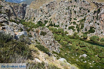Preveli beach Kreta - Departement Rethymnon - Foto 2 - Foto van https://www.grieksegids.nl/fotos/kreta/preveli/normaal/preveli-beach-kreta-002.jpg