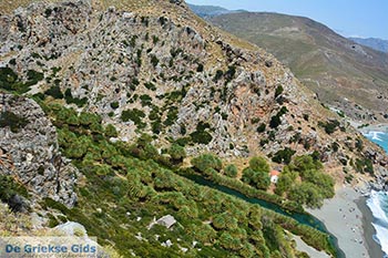 Preveli beach Kreta - Departement Rethymnon - Foto 5 - Foto van https://www.grieksegids.nl/fotos/kreta/preveli/normaal/preveli-beach-kreta-005.jpg