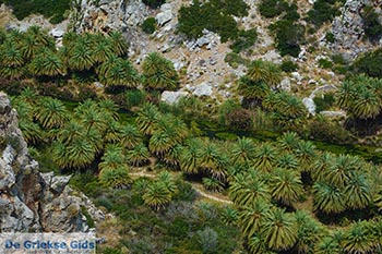 Preveli beach Kreta - Departement Rethymnon - Foto 8 - Foto van https://www.grieksegids.nl/fotos/kreta/preveli/normaal/preveli-beach-kreta-008.jpg