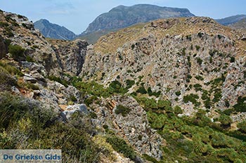 Preveli beach Kreta - Departement Rethymnon - Foto 12 - Foto van https://www.grieksegids.nl/fotos/kreta/preveli/normaal/preveli-beach-kreta-012.jpg