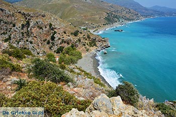 Preveli beach Kreta - Departement Rethymnon - Foto 15 - Foto van https://www.grieksegids.nl/fotos/kreta/preveli/normaal/preveli-beach-kreta-015.jpg