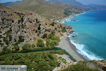 Preveli beach Kreta - Departement Rethymnon - Foto 16 - Foto van https://www.grieksegids.nl/fotos/kreta/preveli/normaal/preveli-beach-kreta-016.jpg