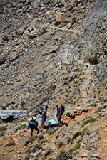GriechenlandWeb Sfakia Chania Kreta - Foto GriechenlandWeb.de