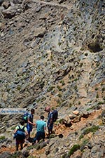 GriechenlandWeb.de Sfakia Chania Kreta - Foto GriechenlandWeb.de