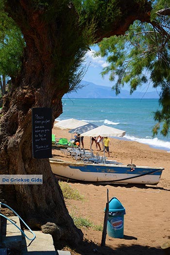 Stalos Kreta - Departement Chania - Foto 13 - Foto van https://www.grieksegids.nl/fotos/kreta/stalos/normaal/stalos-kreta-013.jpg