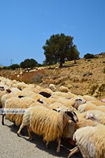 Triopetra Kreta - Departement Rethymnon - Foto 2 - Foto van De Griekse Gids
