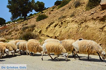 Triopetra Kreta - Departement Rethymnon - Foto 1 - Foto van https://www.grieksegids.nl/fotos/kreta/triopetra/normaal/triopetra-kreta-001.jpg