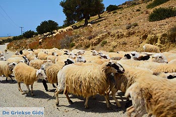 Triopetra Kreta - Departement Rethymnon - Foto 3 - Foto van https://www.grieksegids.nl/fotos/kreta/triopetra/normaal/triopetra-kreta-003.jpg