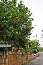 GriechenlandWeb Varipetro Chania Kreta - Foto GriechenlandWeb.de