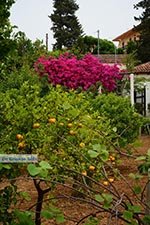 GriechenlandWeb Varipetro Chania Kreta - Foto GriechenlandWeb.de