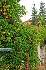 GriechenlandWeb Varipetro Chania Kreta - Foto GriechenlandWeb.de
