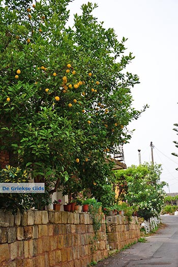 Varipetro Kreta - Departement Chania - Foto 14 - Foto van https://www.grieksegids.nl/fotos/kreta/varipetro/normaal/varipetro-kreta-014.jpg