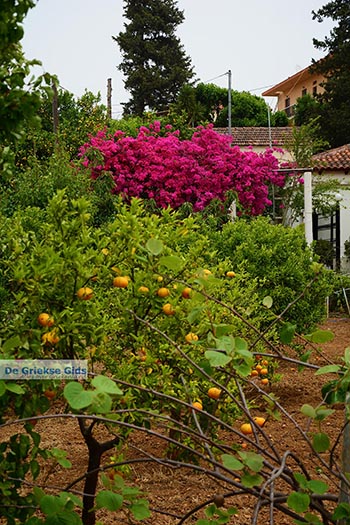 Varipetro Kreta - Departement Chania - Foto 22 - Foto van https://www.grieksegids.nl/fotos/kreta/varipetro/normaal/varipetro-kreta-022.jpg