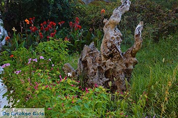 Agios Nikitas - Eiland Lefkas -  Foto 46 - Foto van https://www.grieksegids.nl/fotos/lefkas/agios-nikitas/normaal/agios-nikitas-046.jpg