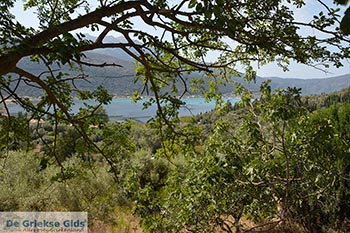 Desimi - Eiland Lefkas -  Foto 15 - Foto van https://www.grieksegids.nl/fotos/lefkas/desimi/normaal/desimi-lefkas-015.jpg