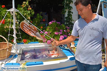 Syvota - Eiland Lefkas -  Foto 31 - Foto van https://www.grieksegids.nl/fotos/lefkas/syvota/normaal/syvota-031.jpg