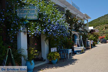 Syvota - Eiland Lefkas -  Foto 54 - Foto van https://www.grieksegids.nl/fotos/lefkas/syvota/normaal/syvota-054.jpg