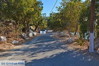 Dyo Liskaria - Eiland Leros - Griekse Gids Foto 4 - Foto van https://www.grieksegids.nl/fotos/leros/dyo-liskaria/normaal/dyoliskaria-leros-004.jpg