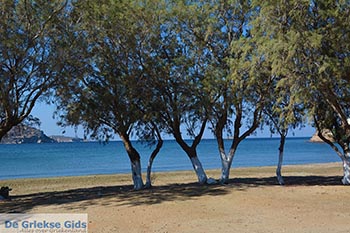 Gourna - Eiland Leros - Griekse Gids Foto 8 - Foto van https://www.grieksegids.nl/fotos/leros/gourna/normaal/gourna-leros-008.jpg