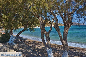 Blefoutis beach Partheni - Eiland Leros - Griekse Gids Foto 21 - Foto van https://www.grieksegids.nl/fotos/leros/partheni/normaal/partheni-leros-021.jpg